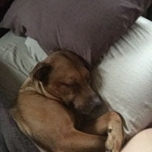 Meet your Posher, Matt